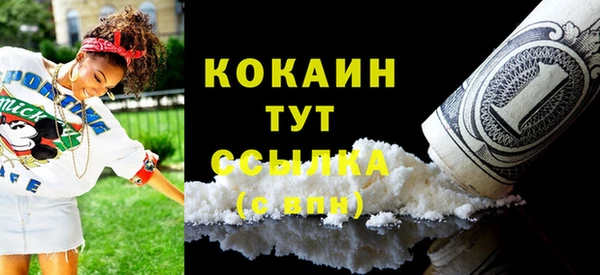 дмт Лабытнанги